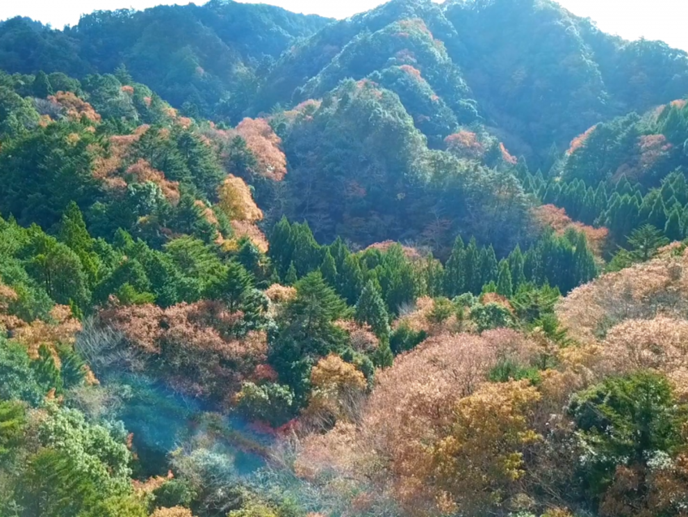 【ドローン空撮】千葉県 四方木不動滝