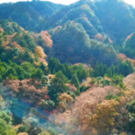 【ドローン空撮】千葉県 四方木不動滝
