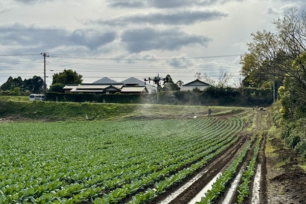 【2026年版】ドローン農薬散布の基礎知識！資格・機体・ビジネスの仕組みを解説