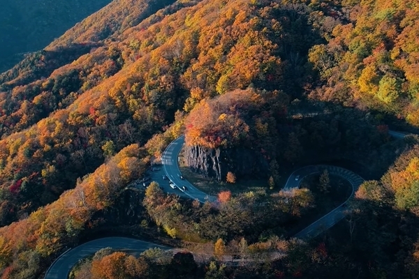 栃木県日光いろは坂で空撮しました！