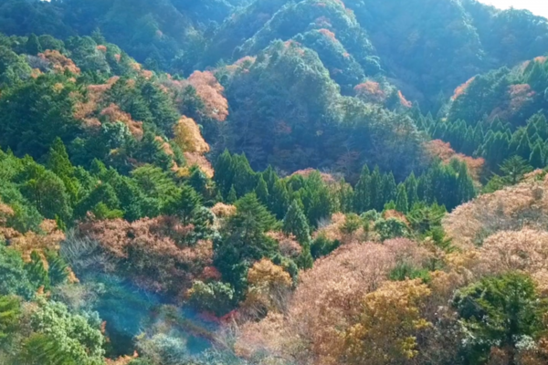 【ドローン空撮】千葉県 四方木不動滝