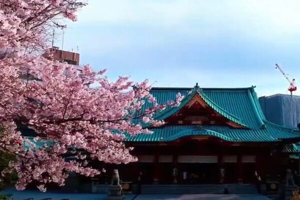 神田明神の空撮映像