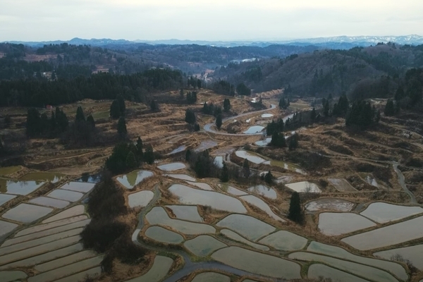 新潟県・星峠の棚田を空撮しました！