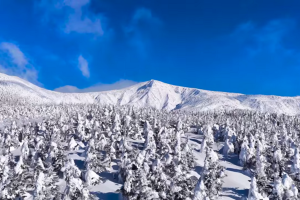 蔵王の樹氷を空撮しました！