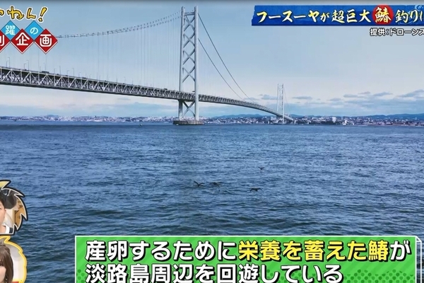 毎日放送で当スクールの映像が使用されました！