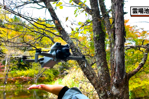 軽井沢の絶景・雲場池をドローン空撮！